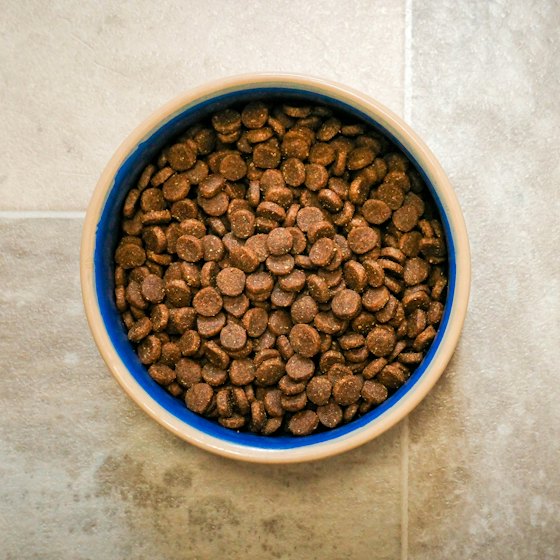 Patitas · tienda de ejemplo